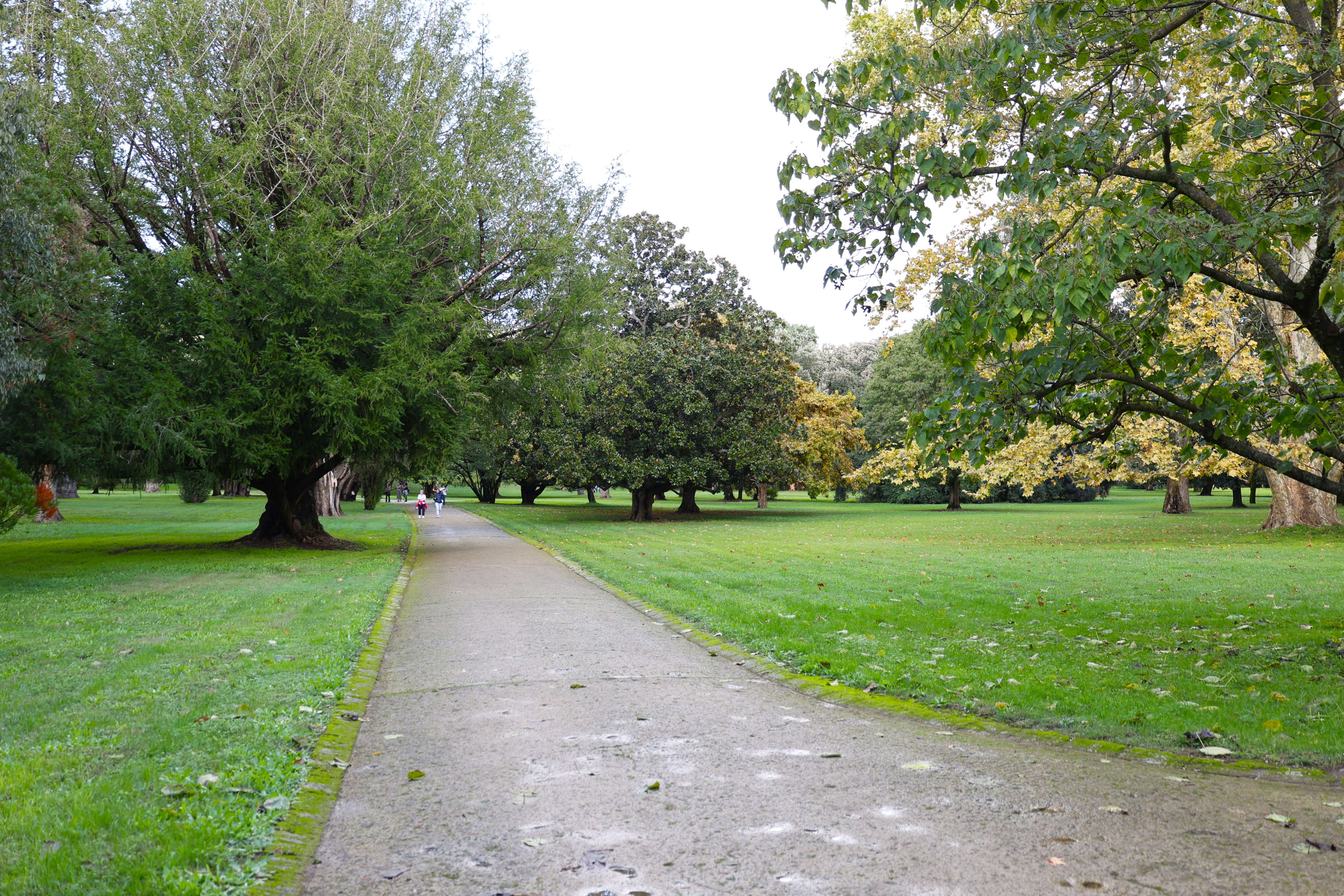 English Garden